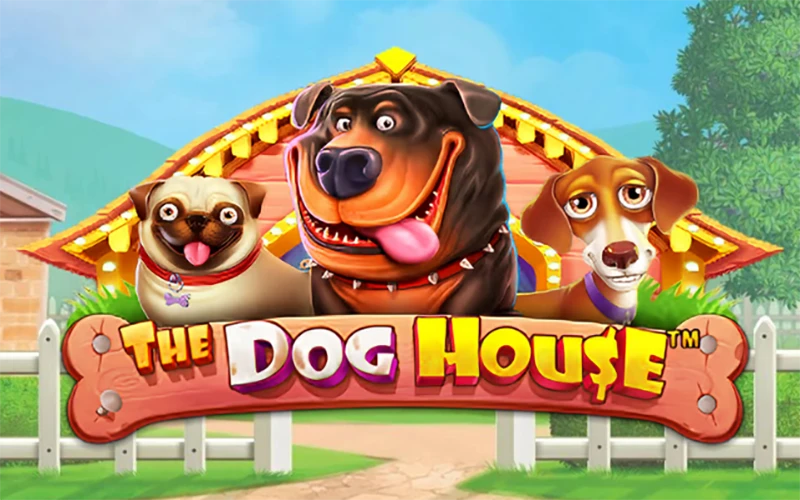 The Dog House è un gioco che offre vincite eccezionali e un design accattivante.
