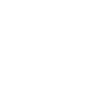 PaysafeCard logo.